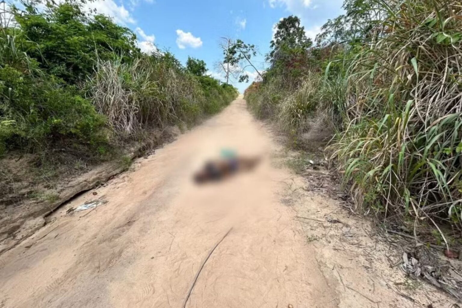Corpo de homem é encontrado amarrado em área de mata no Pará