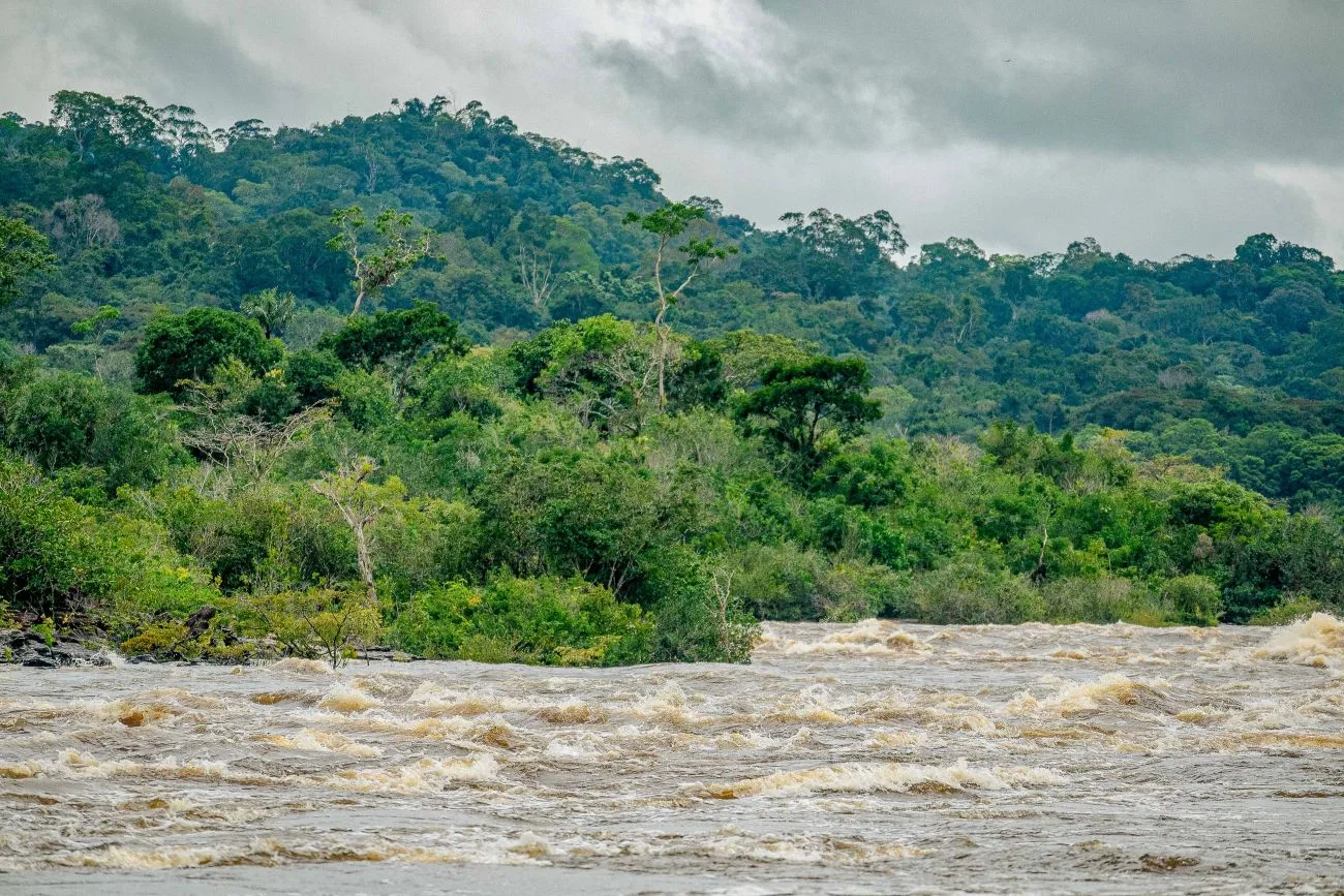 Pará fortalece a proteção da Amazônia com novas Unidades de Conservação