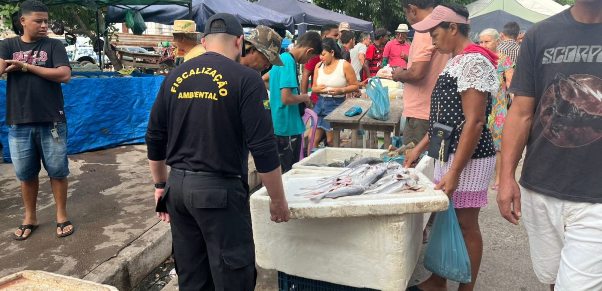 Semma apreende mais 175 kg de pescado ilegal em Marabá