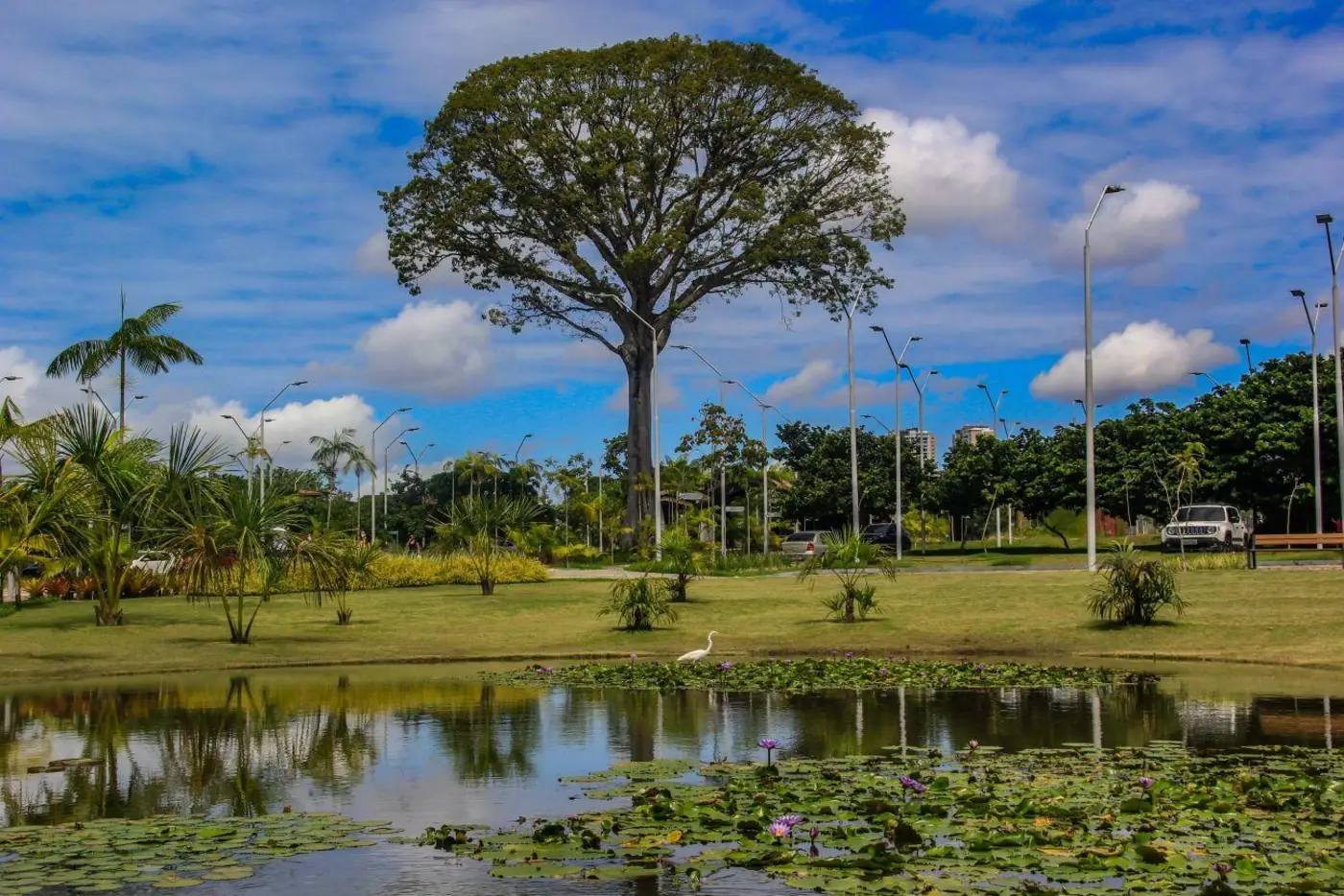 Parque Estadual do Utinga bate recorde histórico de visitação em um único dia