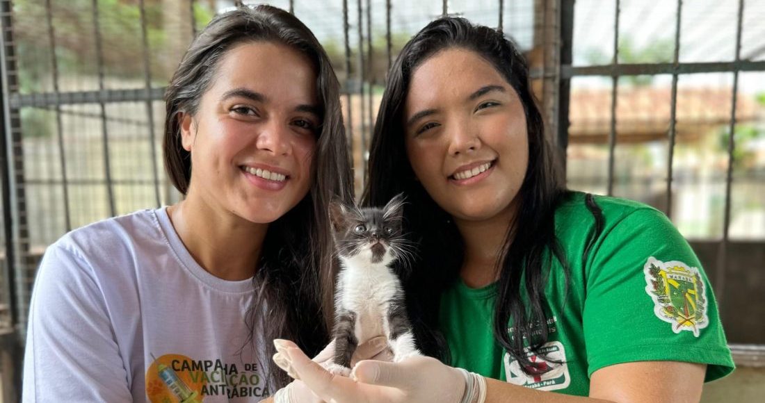 Centro de Zoonoses disponibiliza animais para adoção em Marabá