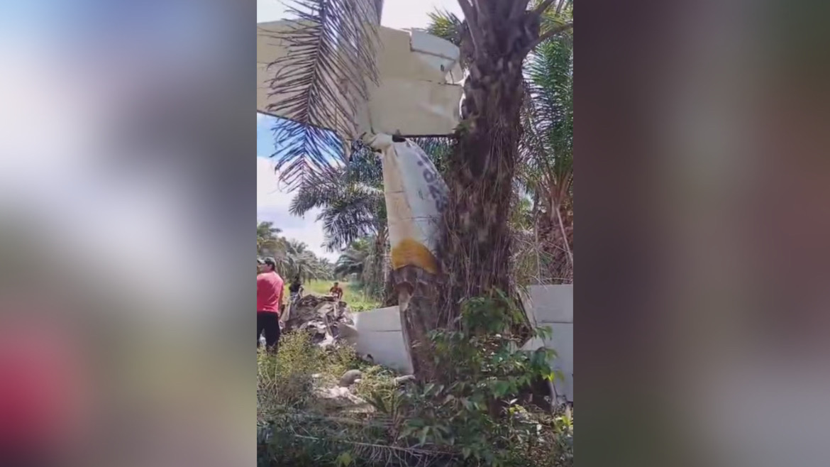 Avião de pequeno porte cai em área de plantação no Pará