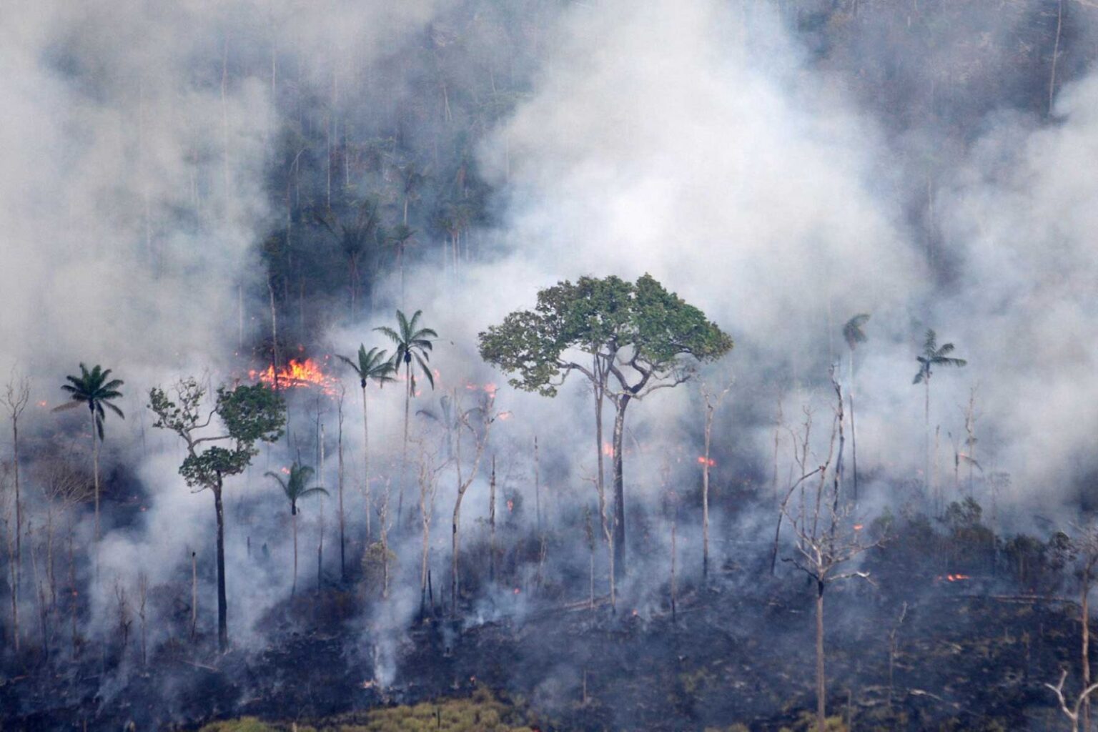 Datafolha: 3 a cada 4 brasileiros não sabem o que são mudanças climáticas