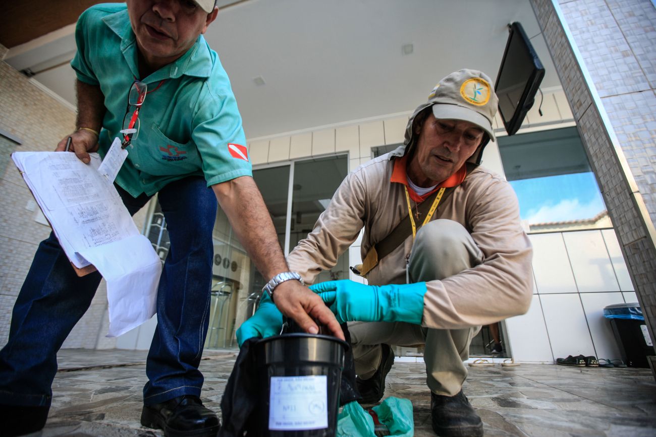 Casos de dengue caem quase 60% no Pará em janeiro de 2025