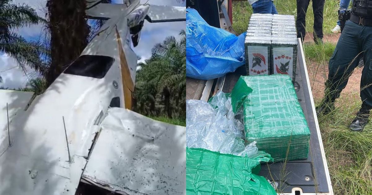 Avião que caiu no Pará era usado pelo tráfico internacional