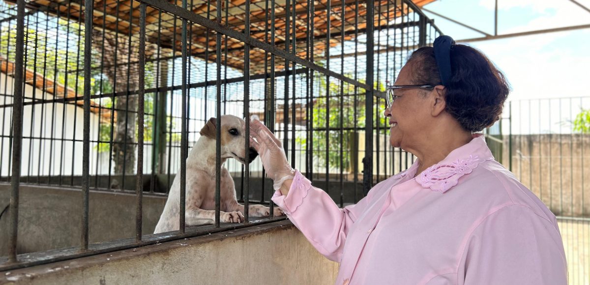 Confira os serviços disponíveis no Centro de Controle de Zoonoses de Marabá