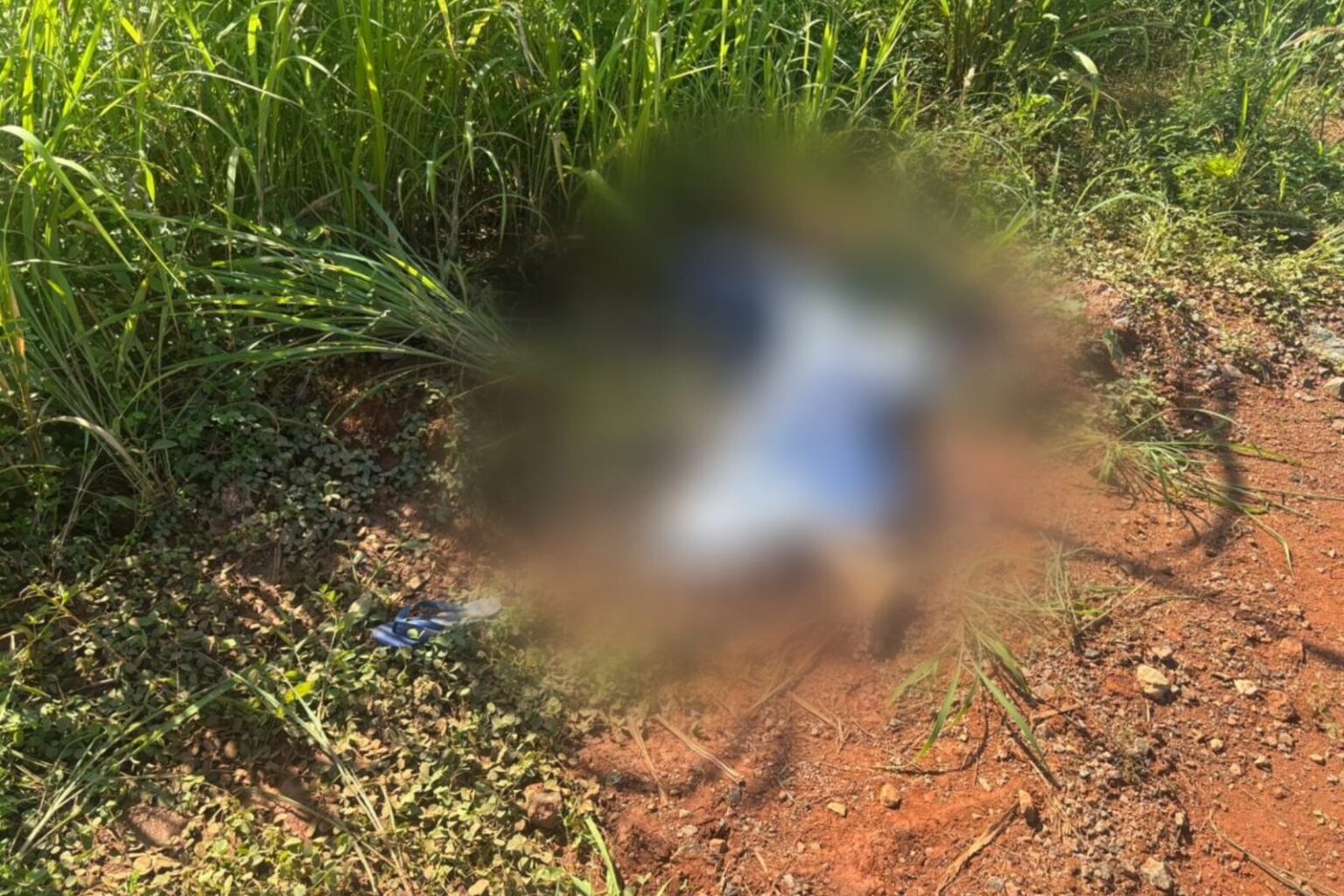 Polícia Civil investiga corpo encontrado com três tiros na cabeça em Parauapebas