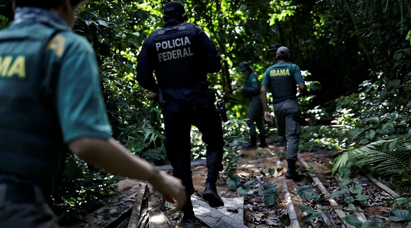 Ibama faz operação para combater desmatamento em Novo Progresso e região