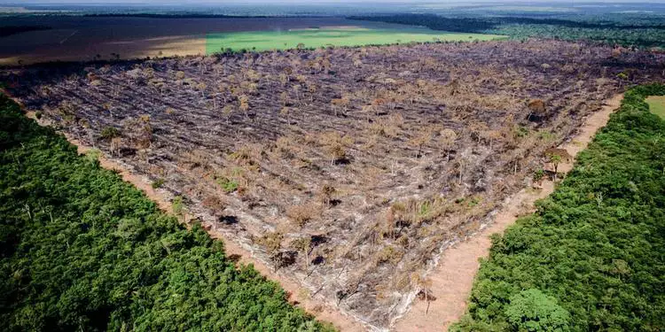 Desmatamento na Amazônia aumenta e reduz as chuvas, afirma estudo