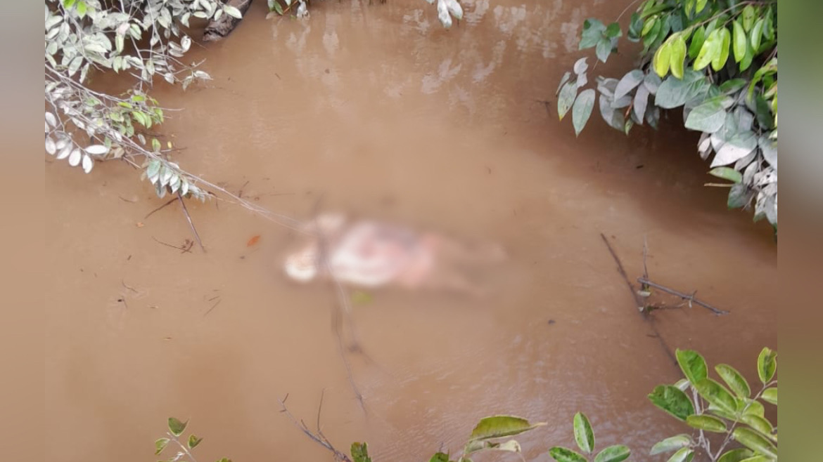 Corpo de mulher é encontrado decapitado em rio do Marajó