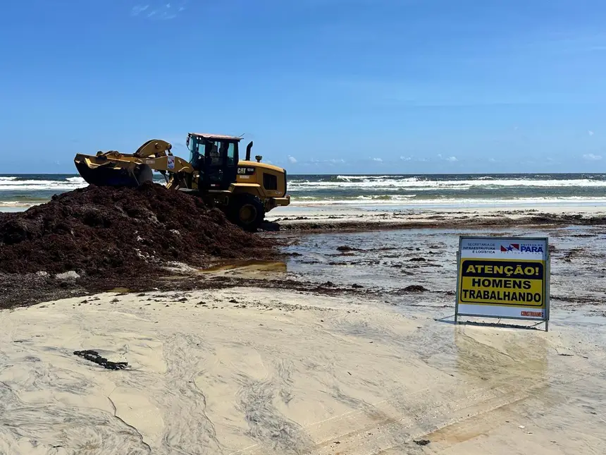 Algas marinhas são removidas da Praia do Atalaia, em Salinas