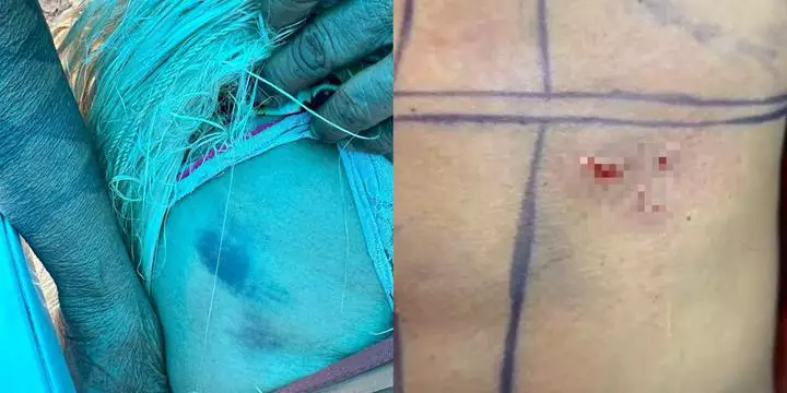 Indígenas denunciam agressões de caminhoneiros durante manifestação na BR-230