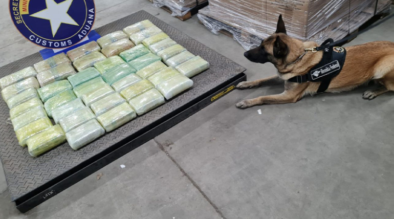 RF apreende 48 kg de ‘super maconha’ dentro de bebedouros em transportadora no Pará