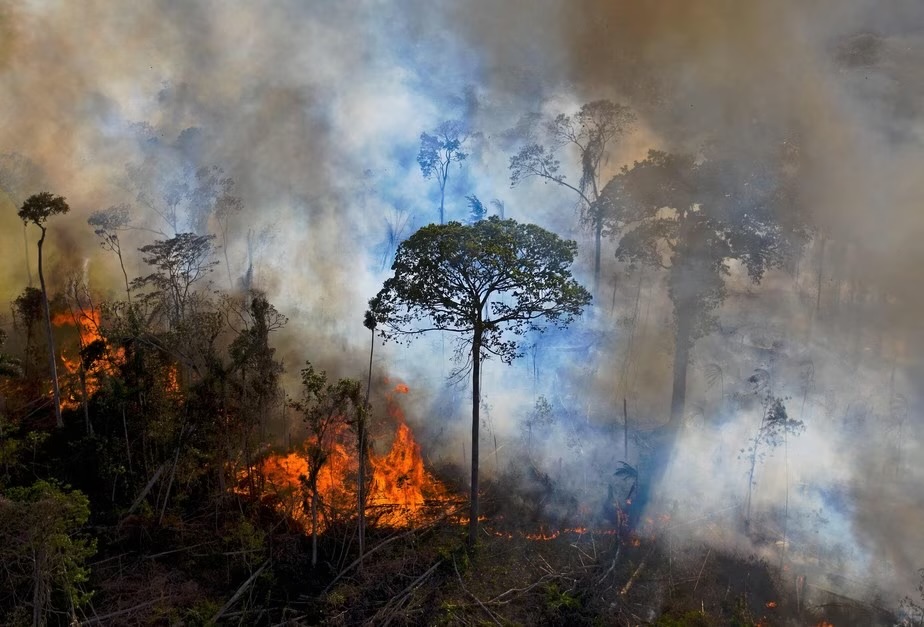 Pará está entre áreas com risco de incêndios florestais