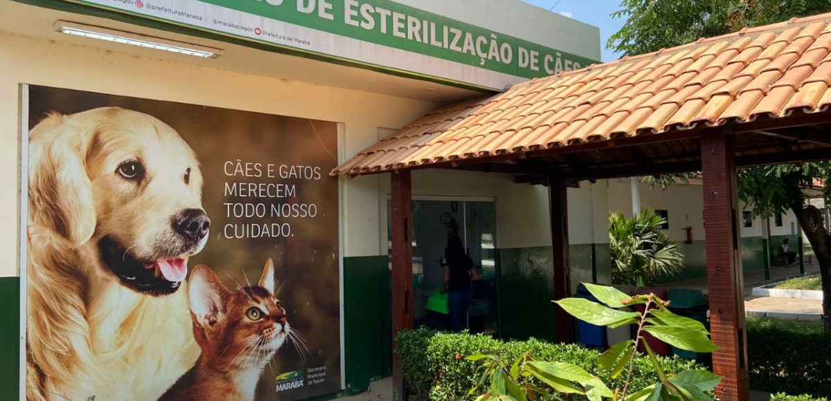 Centro de Zoonoses enfatiza adoção responsável de cães e gatos em Marabá