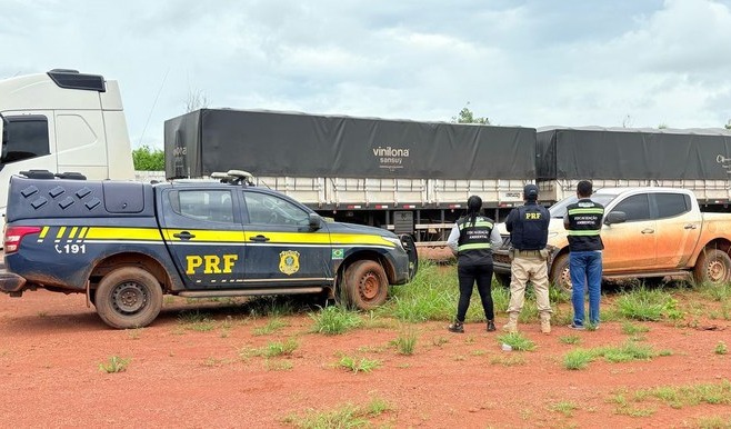 PRF e SEMMA apreendem 54 m³ de madeira ilegal em Dom Eliseu