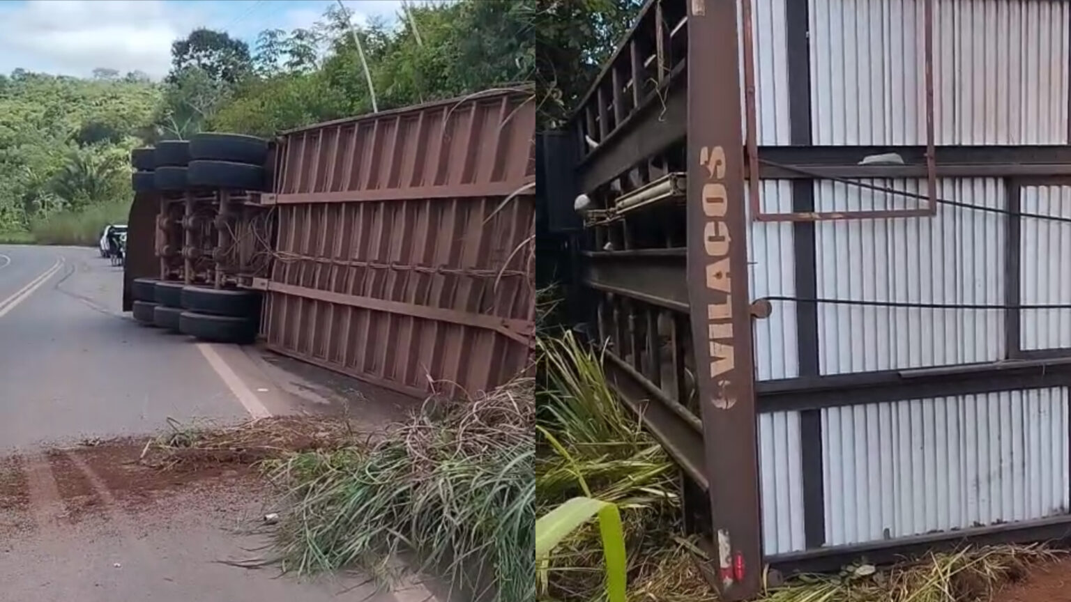 Carreta boiadeira carregada de gado tomba na entrada de Novo Repartimento