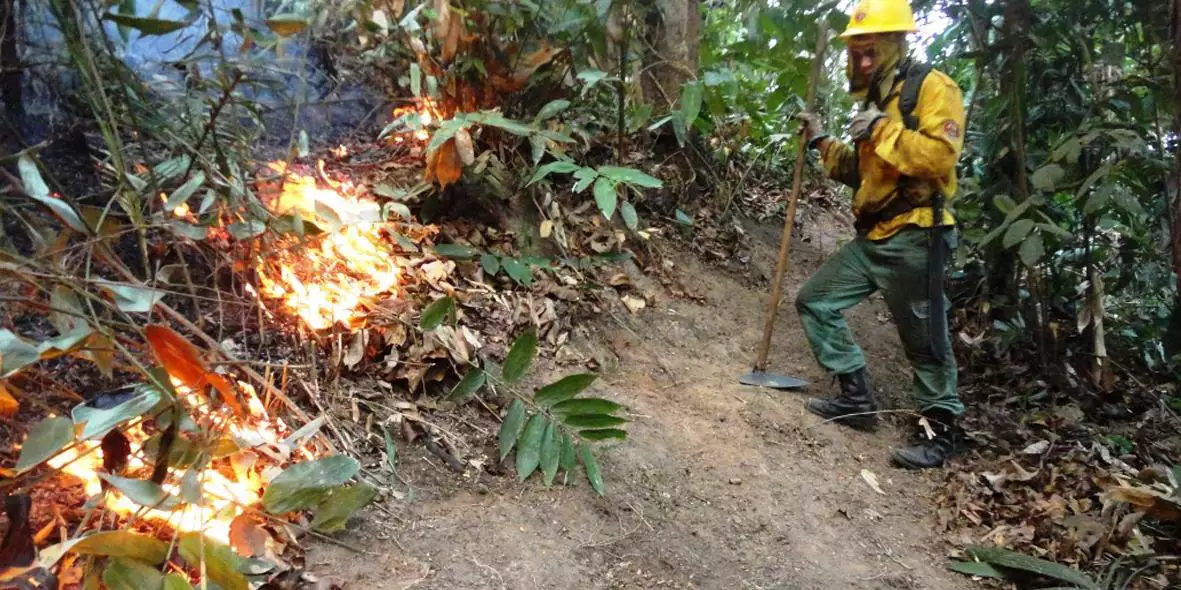 Maranhão terá R$ 45 milhões do Fundo Amazônia para combater incêndios