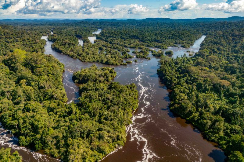 Pará registra redução de 36% em área recoberta por alerta de desmatamento
