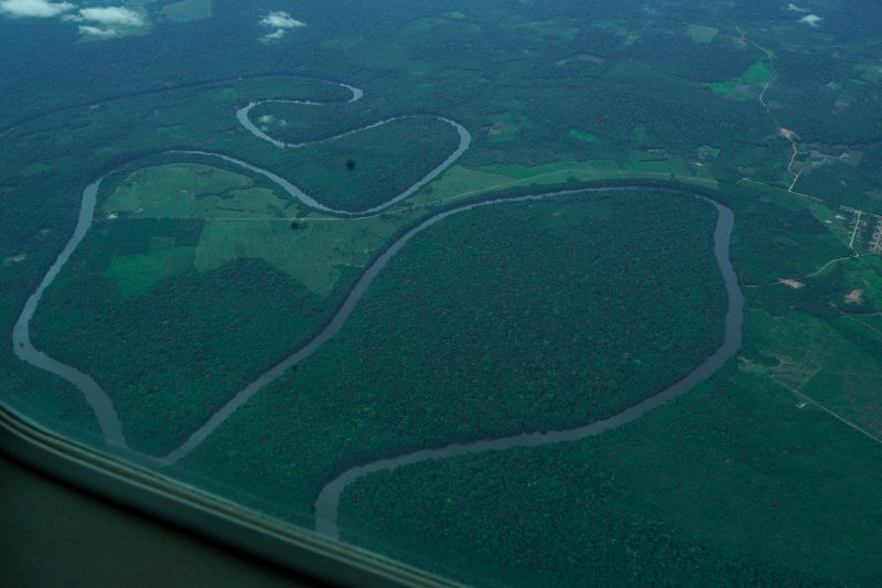 Pará regulamenta Cota de Proteção Ambiental