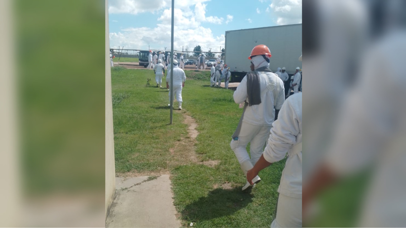 Trabalhadores evacuam frigorífico da JBS às pressas após novo vazamento de amônia em Marabá