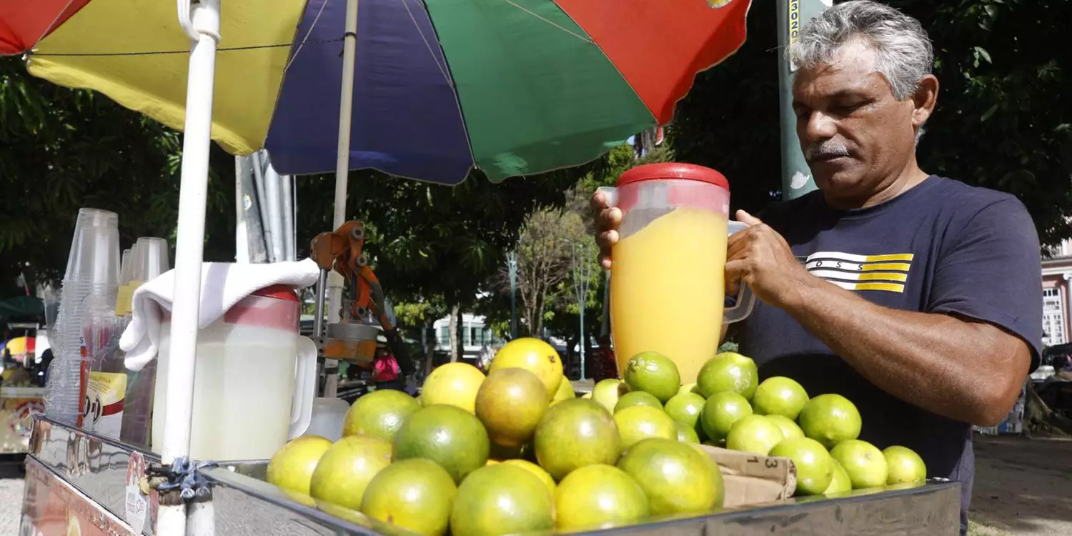Pará arrecadou mais de US$ 9 milhões com exportação de laranja e derivados em 2024