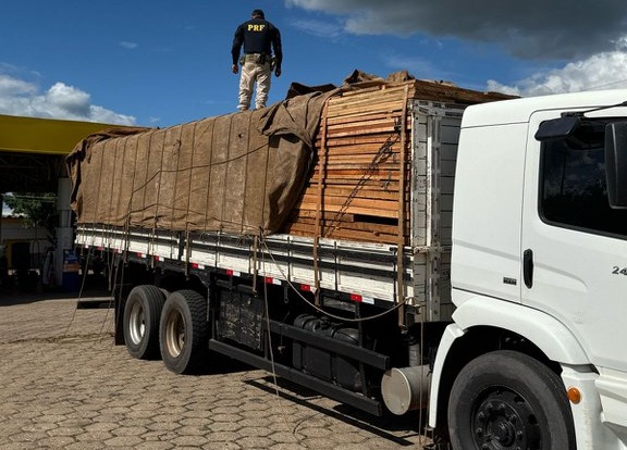 PRF apreende madeira ilegal na rodovia BR-155