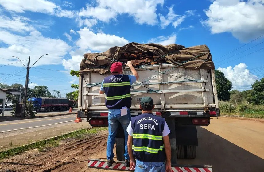 Sefa apreende 24 metros cúbicos de madeira irregular na divisa do Pará com o Maranhão