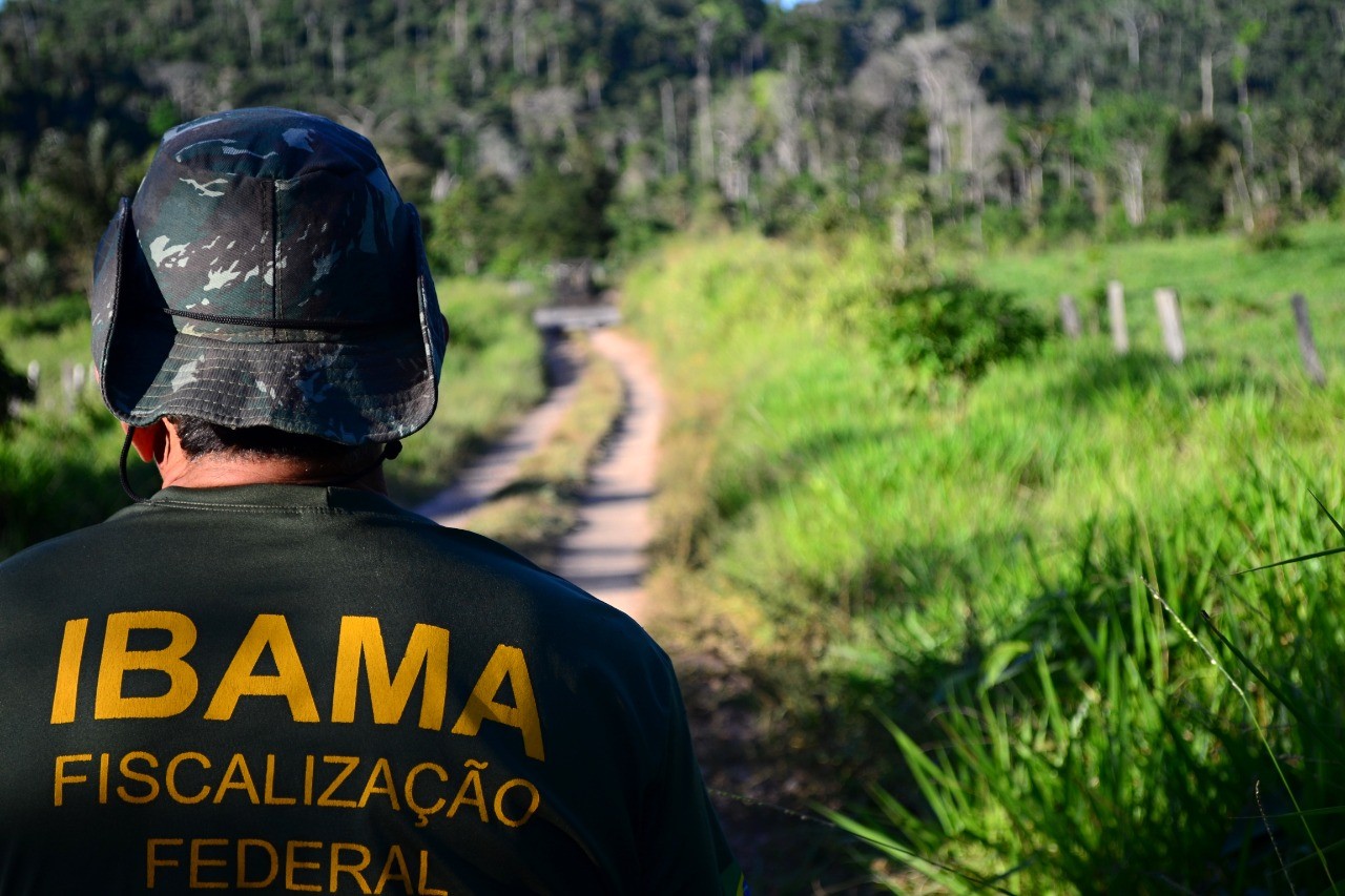 Ibama deve revisar embargos em sete municípios do Pará, após apontamento de falhas