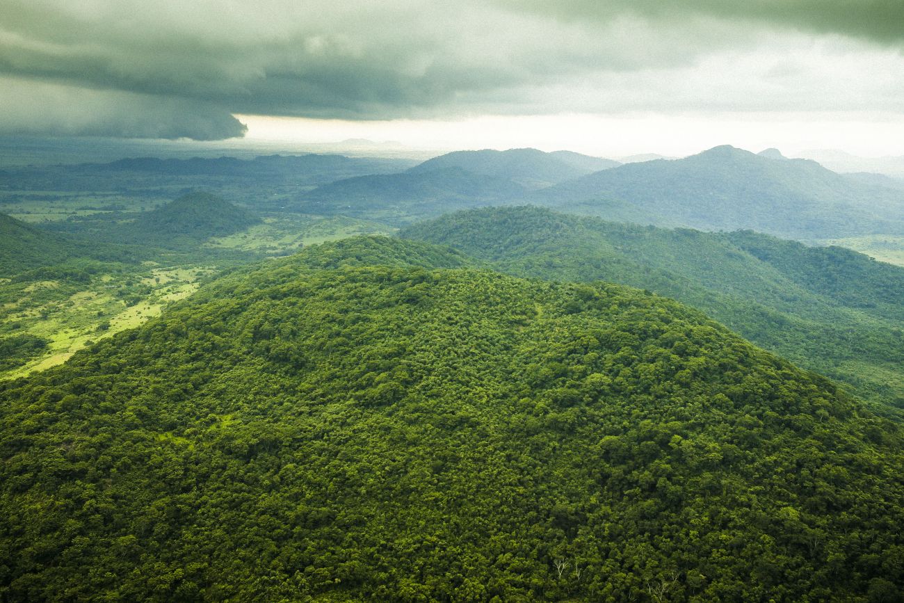 Com a COP 30 no Brasil, Vale avança em meta florestal e amplia conservação