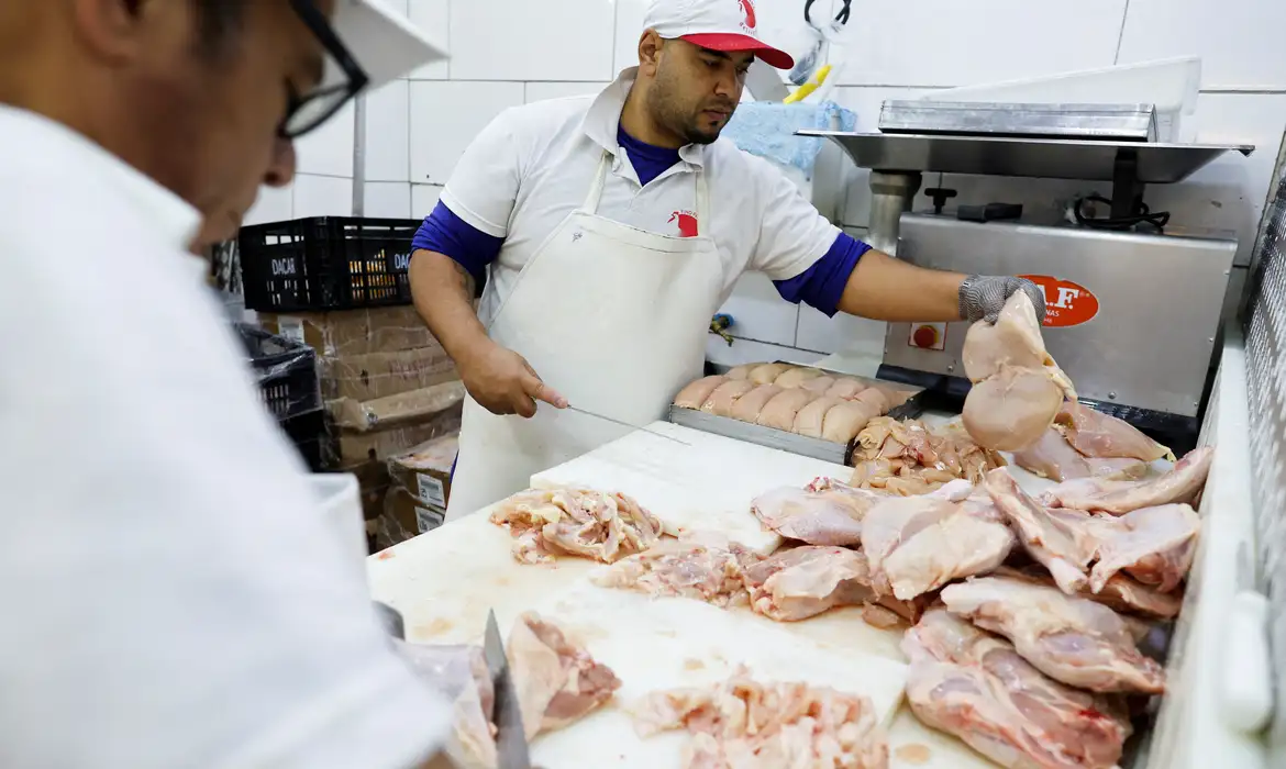 Gripe aviária: 16 países suspendem restrição à carne brasileira