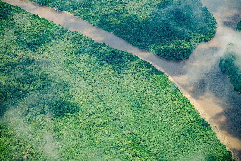 Fórum estadual destaca avanços ambientais e ações para a COP30 no Pará