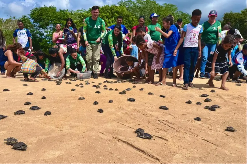 Ação ambiental solta mais de 3 mil quelônios no Rio Araguaia