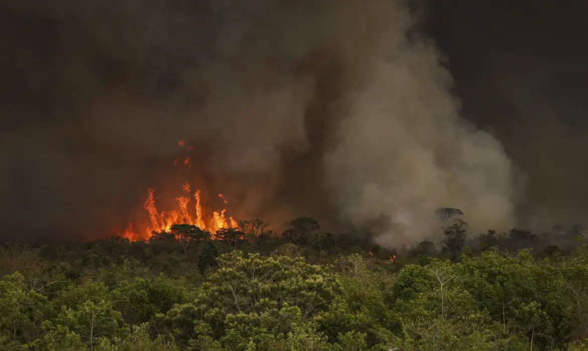 Queimadas fazem desmatamento crescer 92% na Amazônia em maio