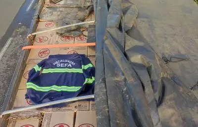 Sefa apreende 50 mil unidades de aguardente no sudeste do Pará