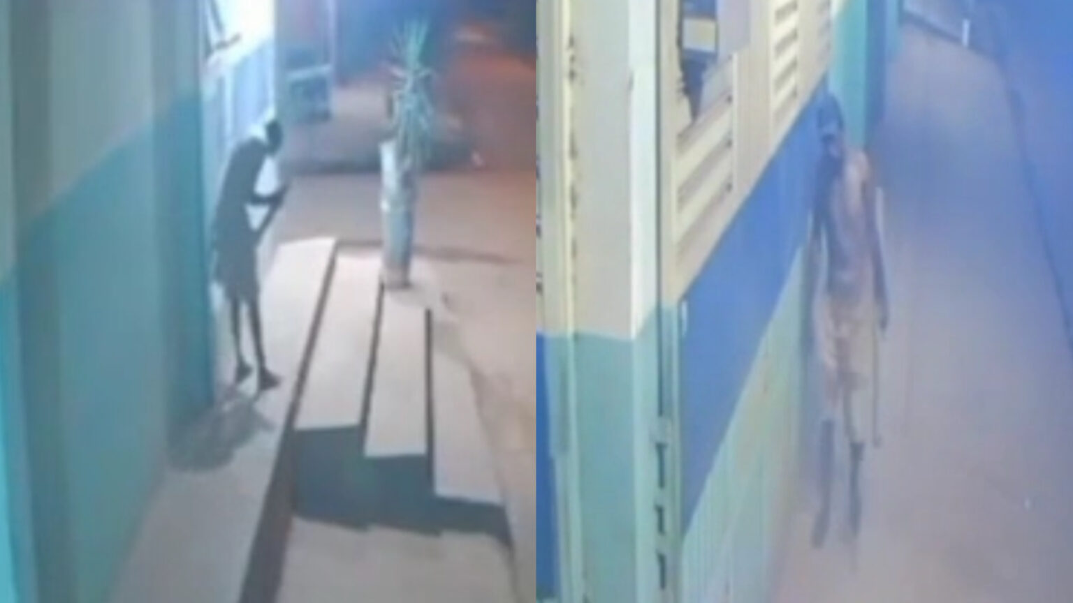 VÍDEO: Comerciante denuncia arrombamentos em série na Coca e Fanta, em Marabá