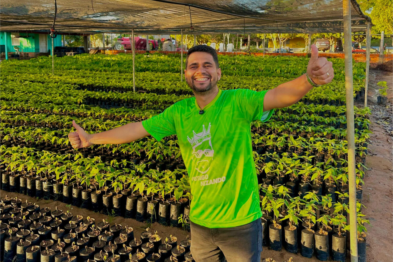 Itupiranga investe na cultura do cacau com distribuição de mais de 360 mil mudas