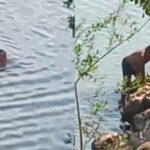Influencer encontra cadáver no Rio Itacaiunas, em Marabá