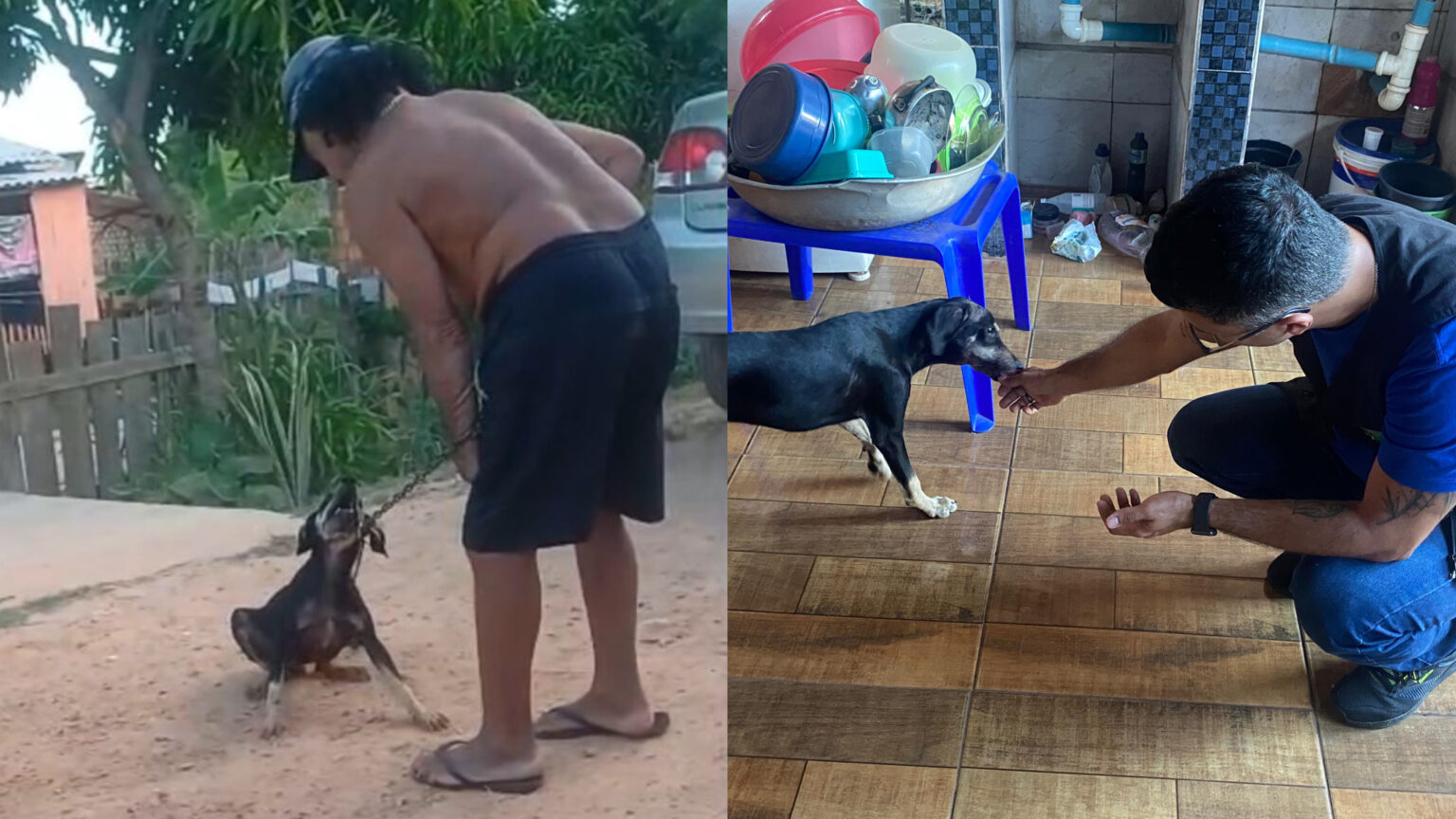 Polícia Civil investiga maus-tratos a cachorro agredido com corrente em Marabá