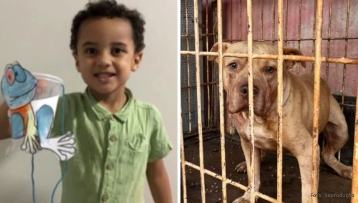 Criança de 4 anos morre após ataque de pitbull em Goiás
