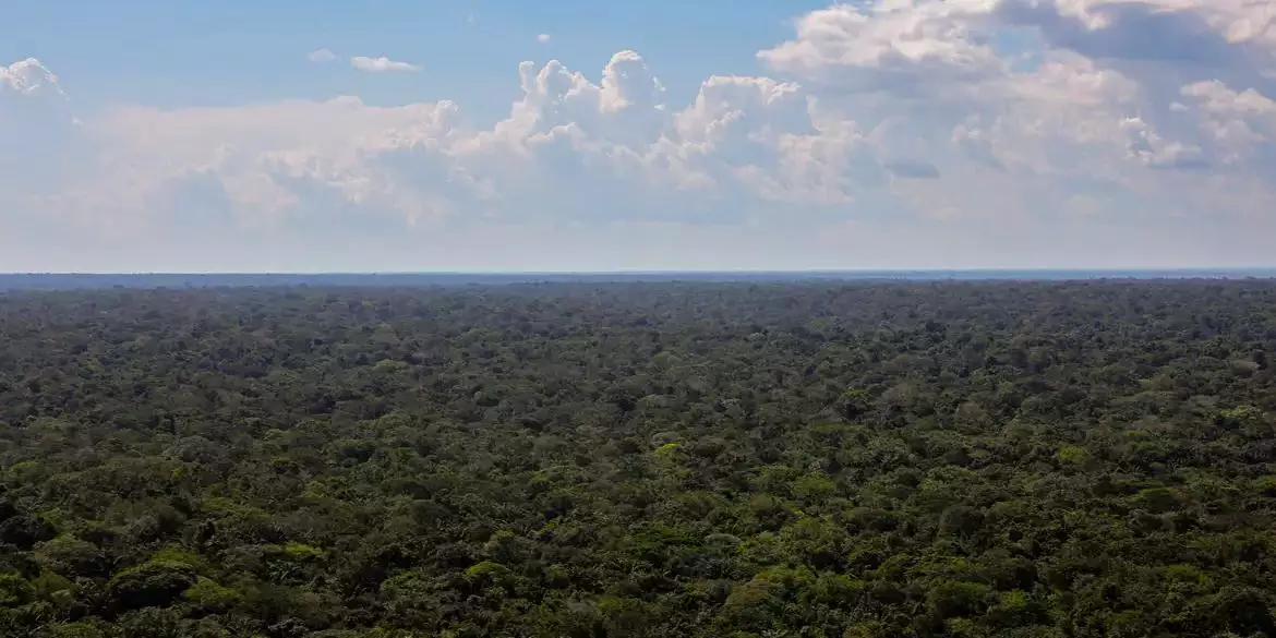 Organizações sociais propõem plano para investimentos na Amazônia