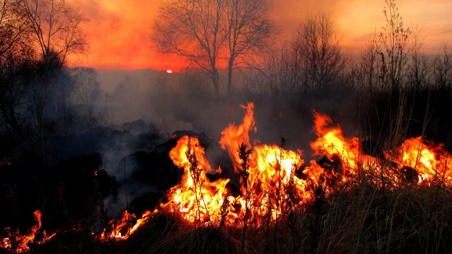 Prefeitura de Parauapebas cria comitê integrado para combater queimadas e incêndios