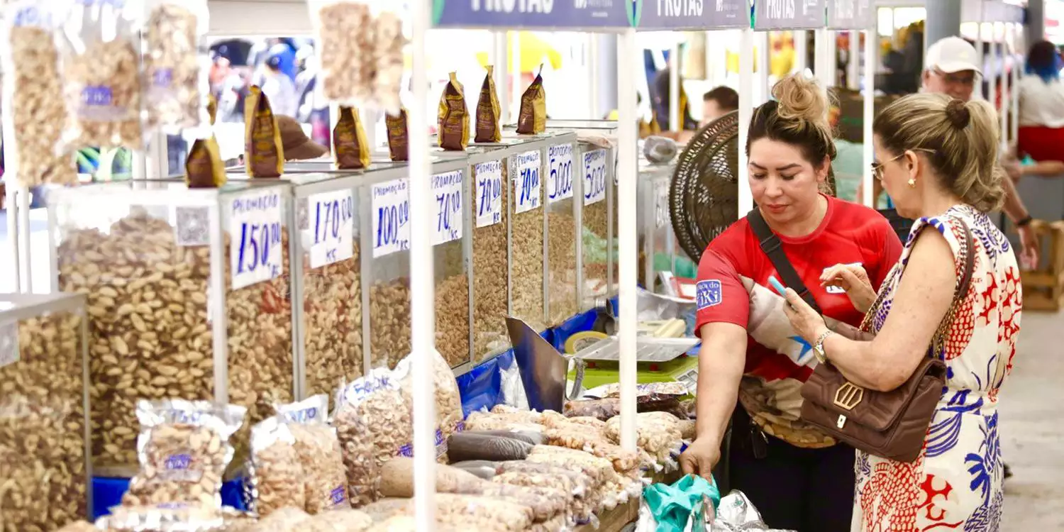 Castanha-do-pará segue cara e kg pode chegar a R$ 250 ainda em 2025