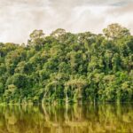 Pará registra a menor área de desmatamento da década e lidera resultados positivos na Amazônia Legal