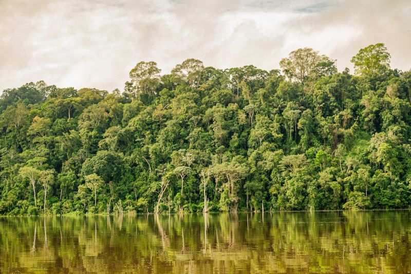 Pará registra a menor área de desmatamento da década e lidera resultados positivos na Amazônia Legal