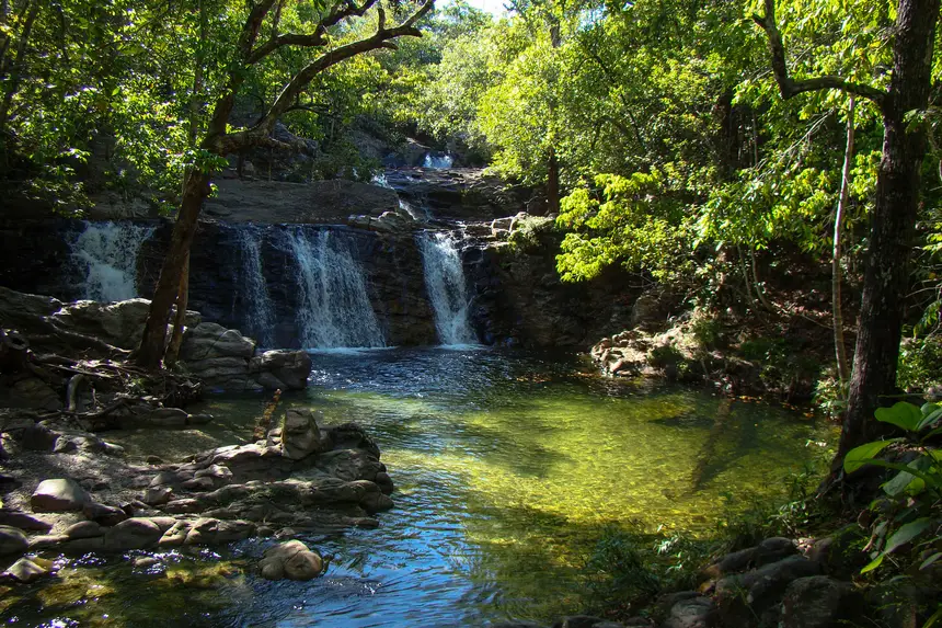 Parques Ambientais preservam a biodiversidade e impulsionam o turismo sustentável no Pará