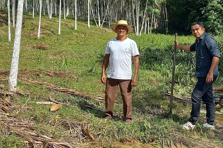 Dia da Amazônia: projetos da Emater recuperam áreas verdes em todo o Pará