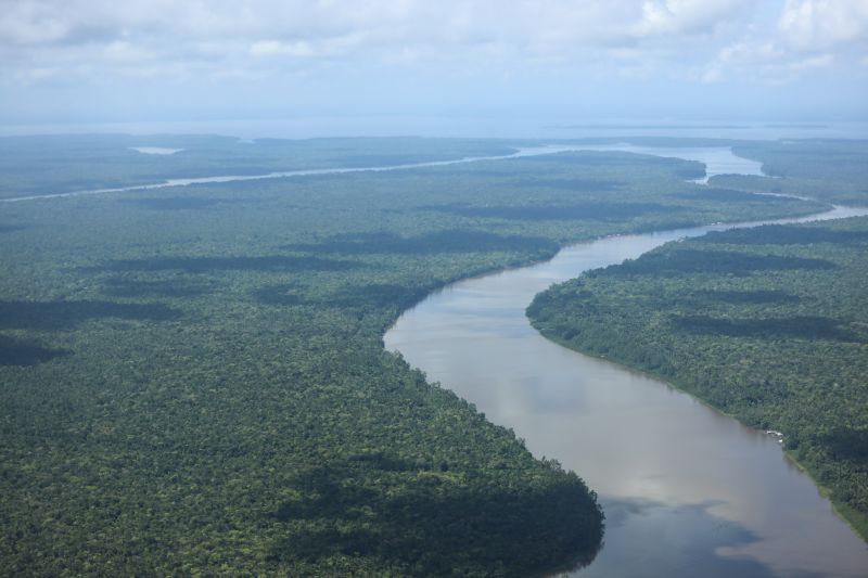Pará registra menor índice de desmatamento em agosto desde 2019
