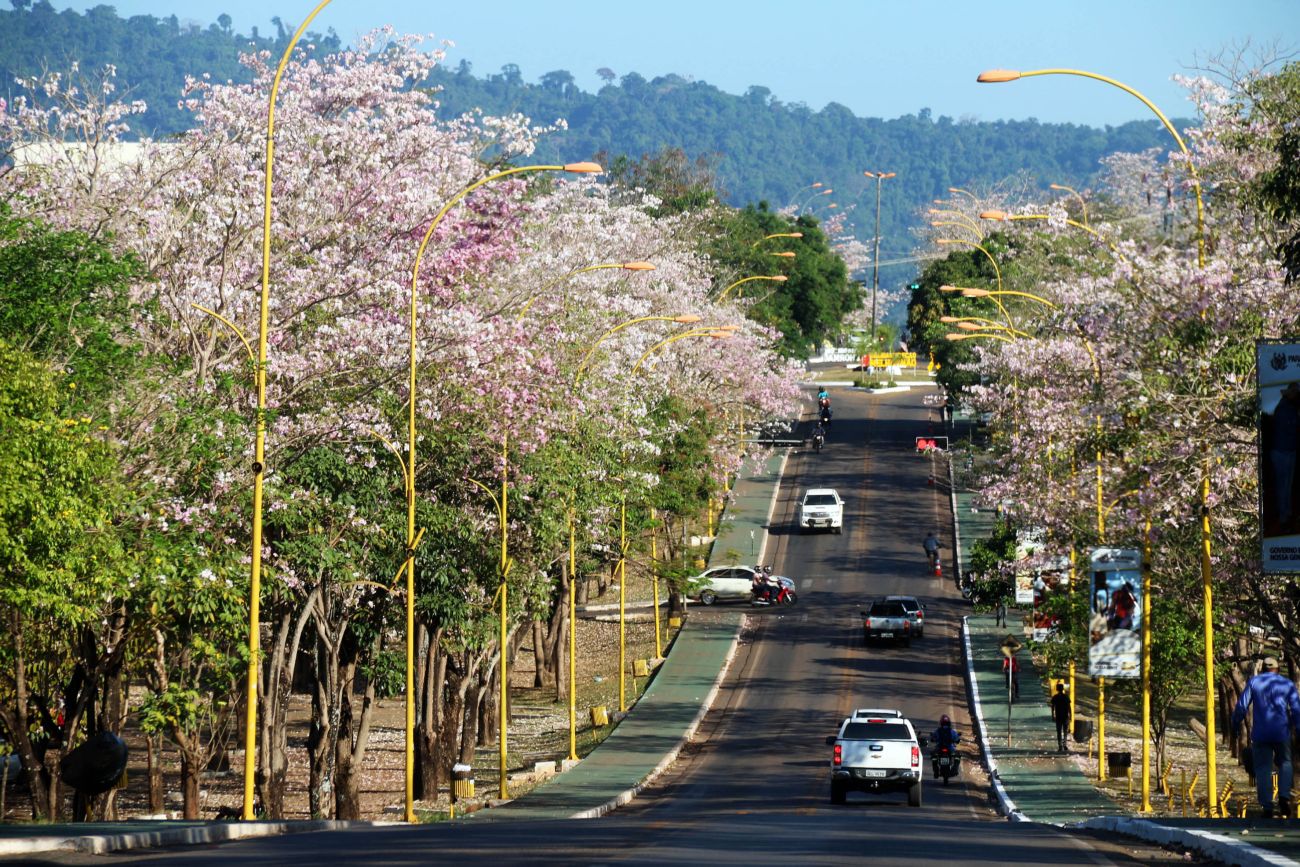 Parauapebas recebe programação especial da Alepa Itinerante com serviços gratuitos e sessão legislativa