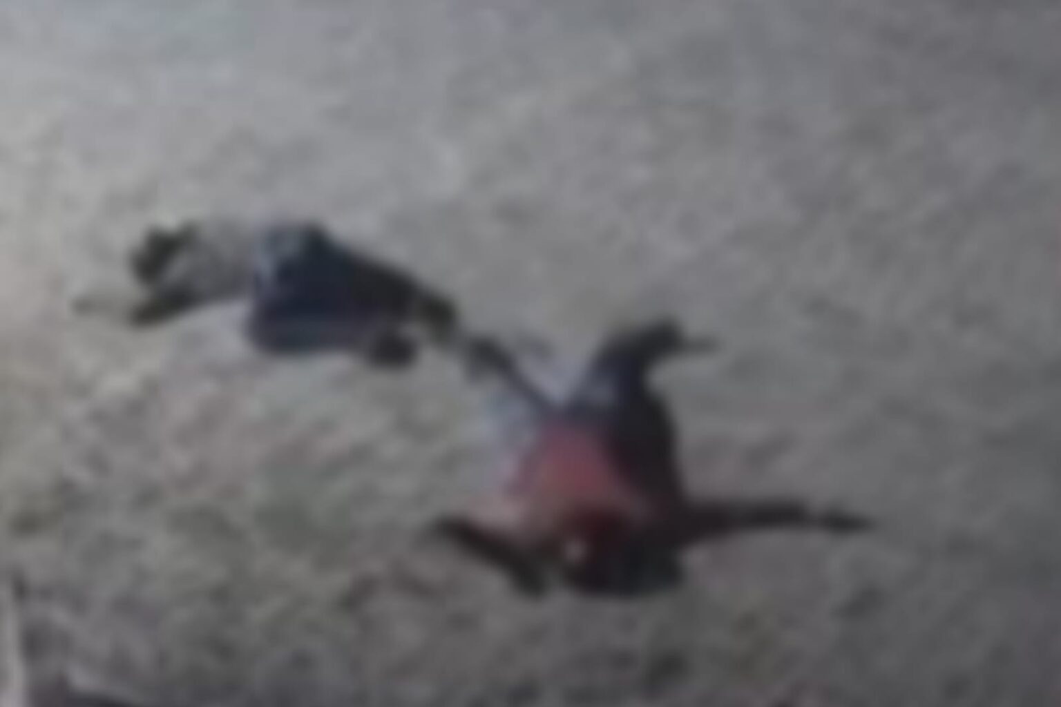 Vigilante reage a tentativa de assalto em galpão e dois criminosos morrem